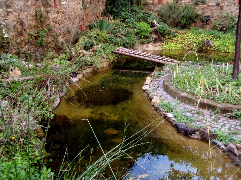 Il Laghetto del Centro di Entomologia - Piombino (LI)